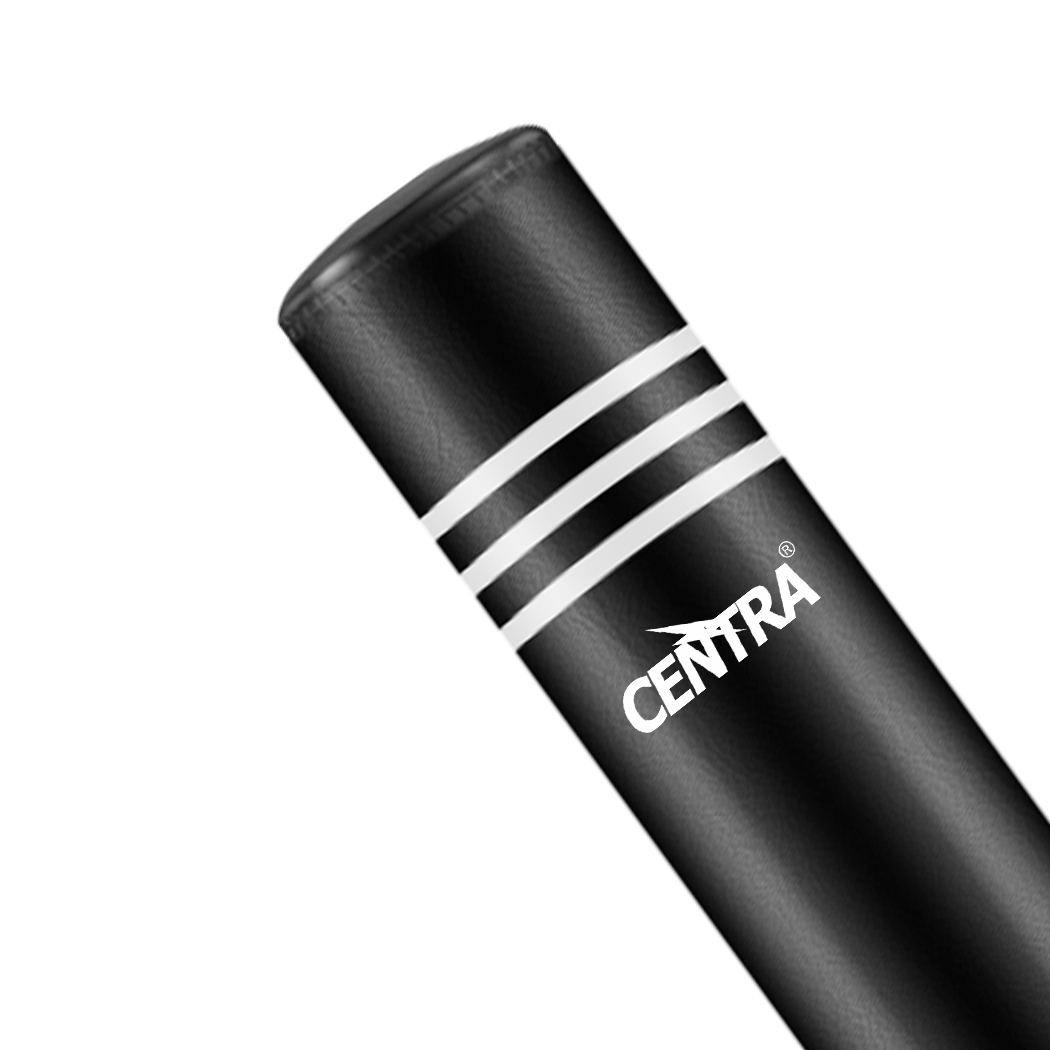 centra boxing punching bag free standing centra boxing punching bag free standing